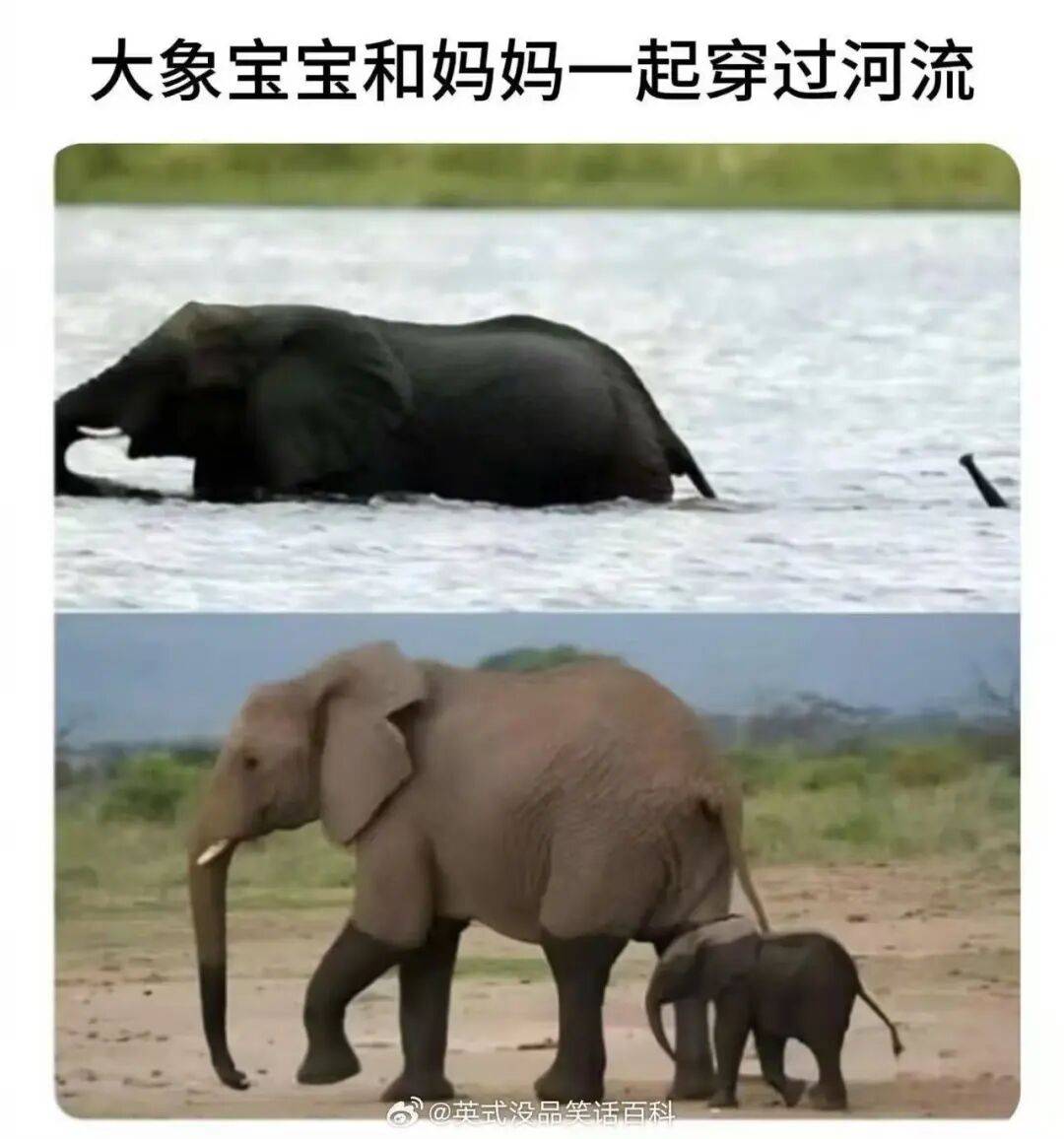 “裝修讓父母參與的下場竟然是…？”哈哈哈大眾點評上怎麼沒看到你家！