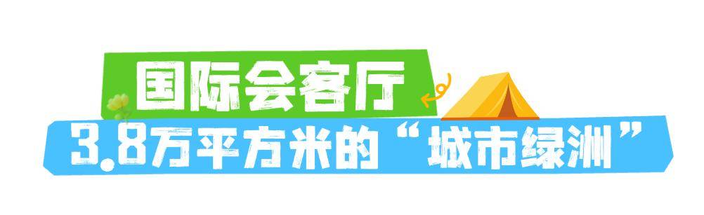 CBD創新力量｜北京CBD：從“水泥森林”到“花園客廳”