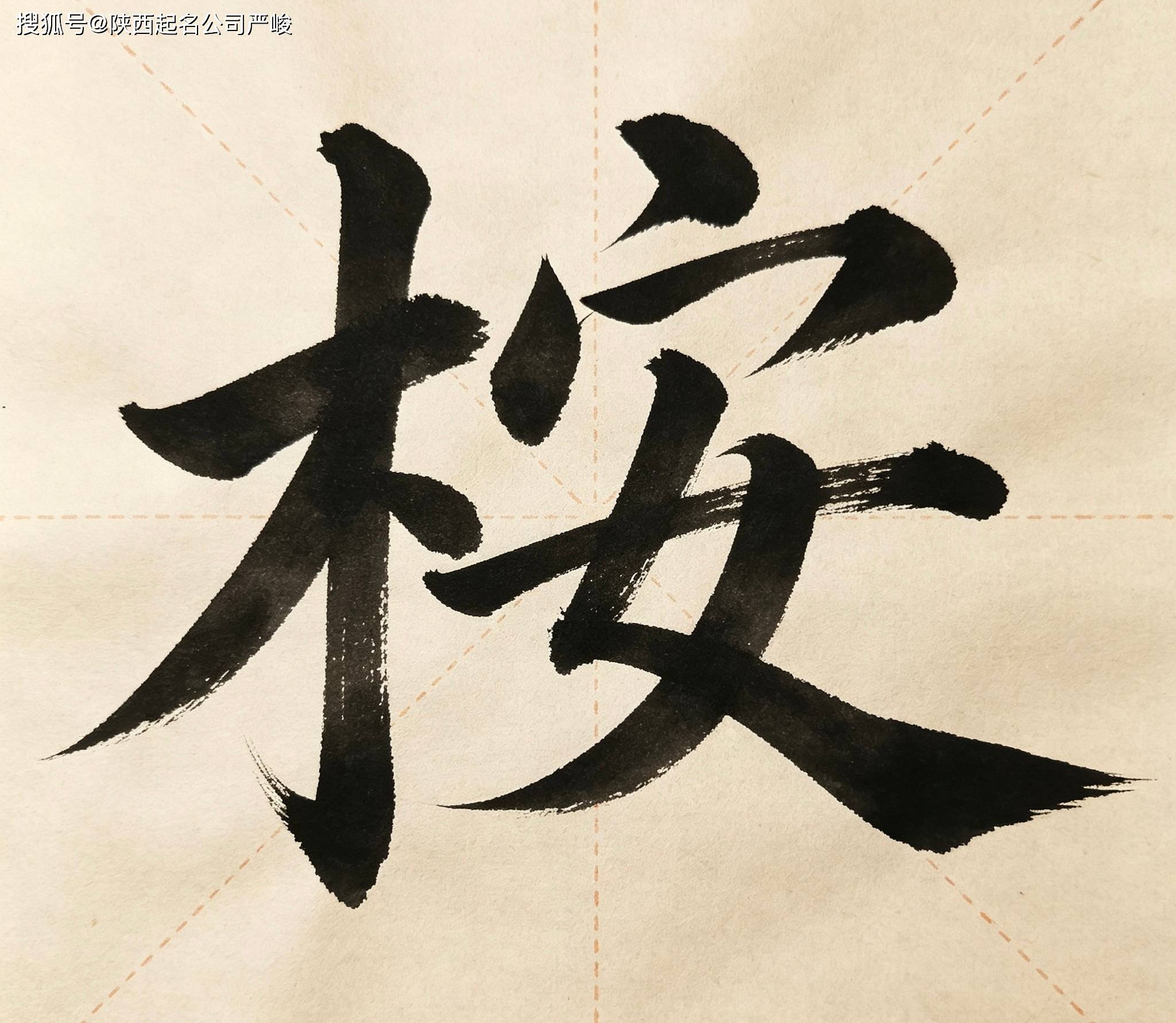 寶寶起名慎選“桉”字！安康西安起名改名嚴峻大師解答分析