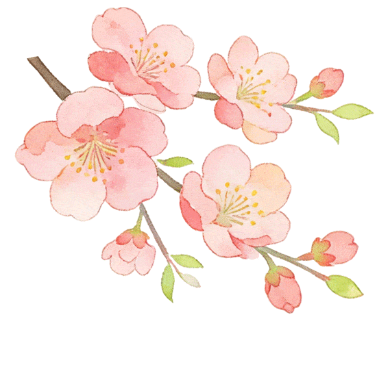 【半城江水 半城花】冰城春花開啟“杏運時間”｜這份粉色賞花攻略請收藏→