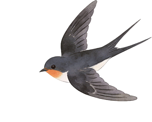 【半城江水 半城花】冰城春花開啟“杏運時間”｜這份粉色賞花攻略請收藏→