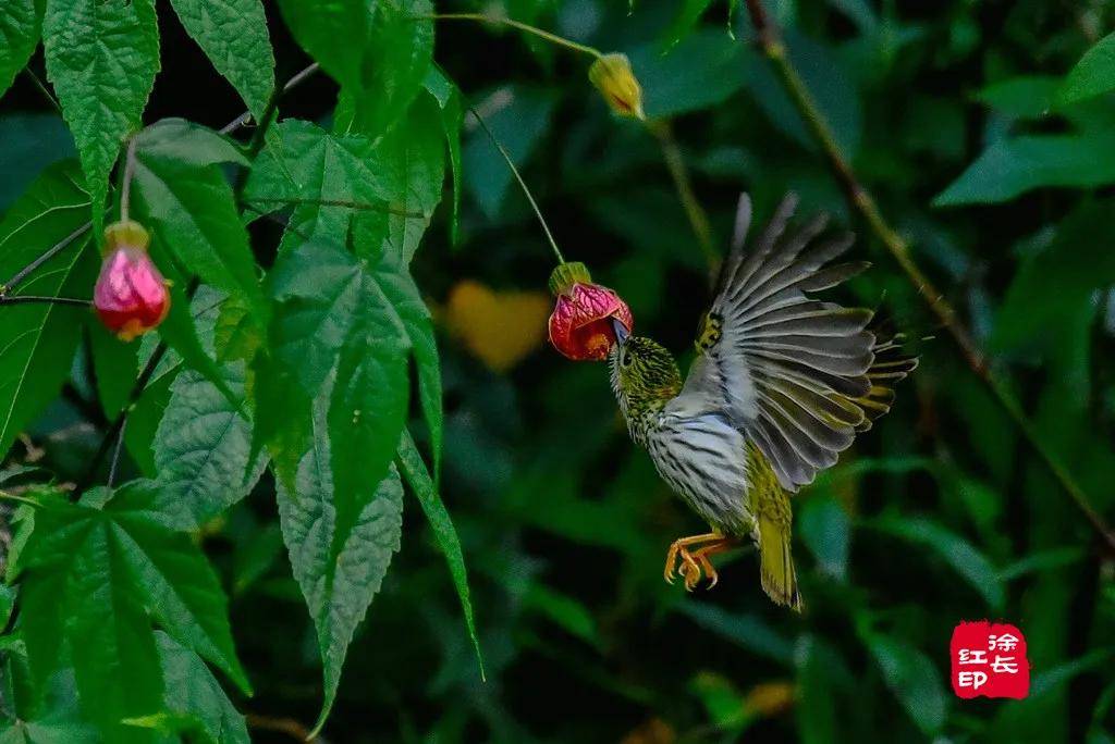 國際旅遊攝影網·52旅遊攝影——專注攝影旅行十五年