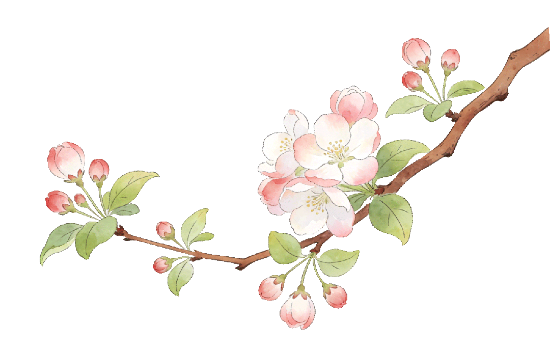 【半城江水 半城花】冰城春花開啟“杏運時間”｜這份粉色賞花攻略請收藏→