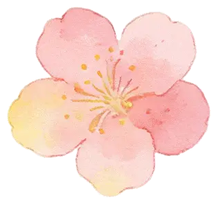 【半城江水 半城花】冰城春花開啟“杏運時間”｜這份粉色賞花攻略請收藏→