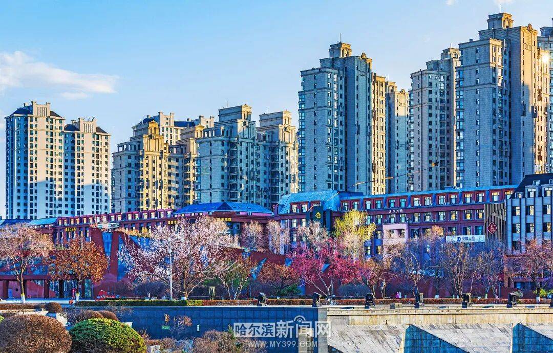 【半城江水 半城花】冰城春花開啟“杏運時間”｜這份粉色賞花攻略請收藏→