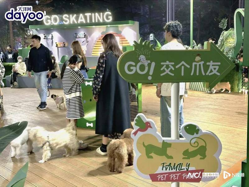 三明伴侶動物立法爭議：法律空缺，寵物經濟千億賽道如何發展