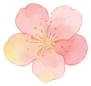 【半城江水 半城花】冰城春花開啟“杏運時間”｜這份粉色賞花攻略請收藏→