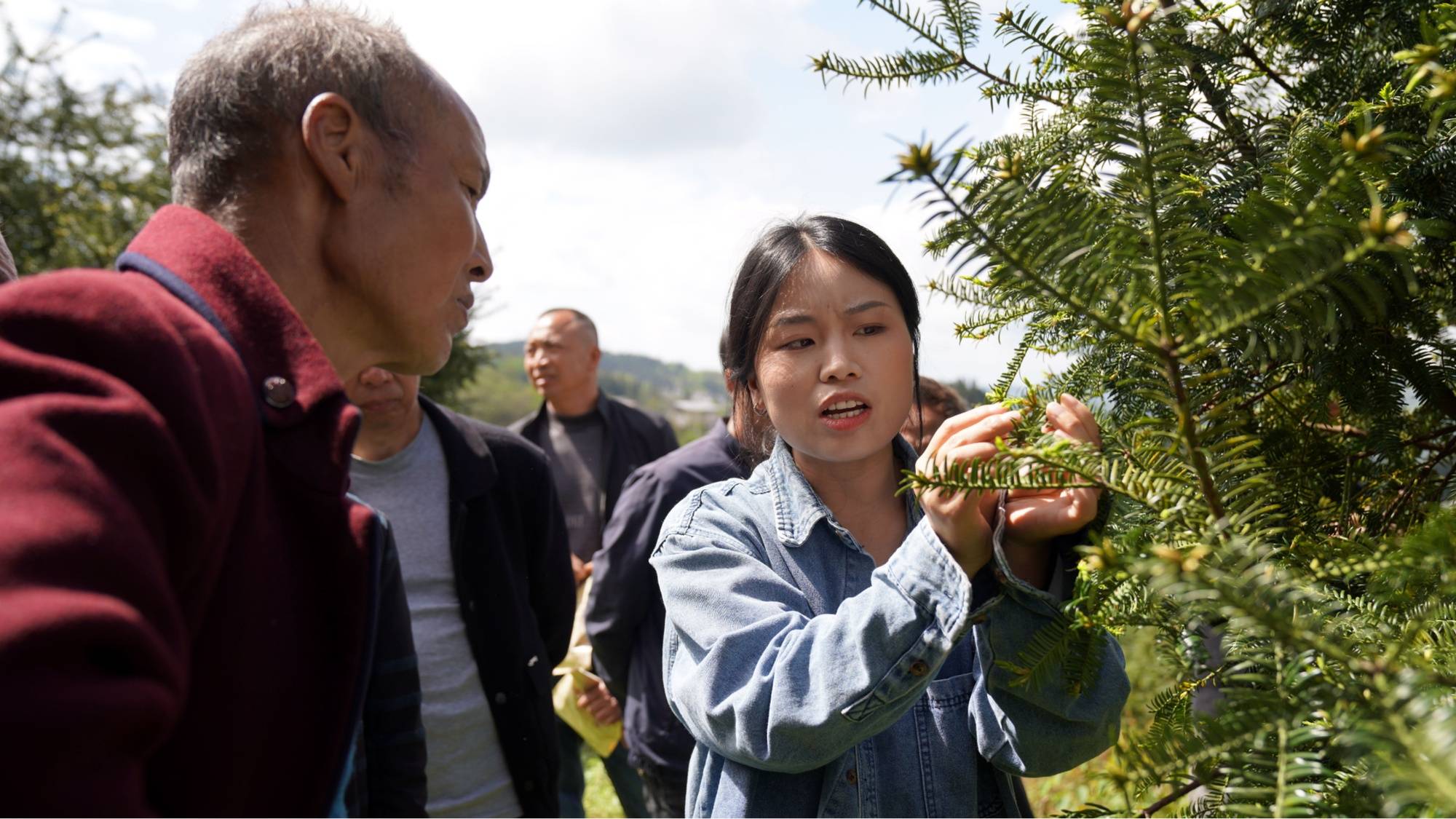 貴州務川：科技春風吹遍山野 特色產業勃發生機
