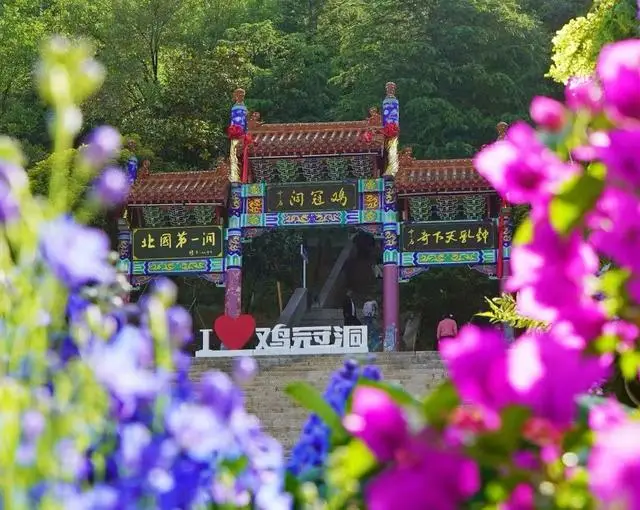 五一暢遊雞冠洞：自然奇觀邂逅花海狂歡，演藝美食免單暢享！