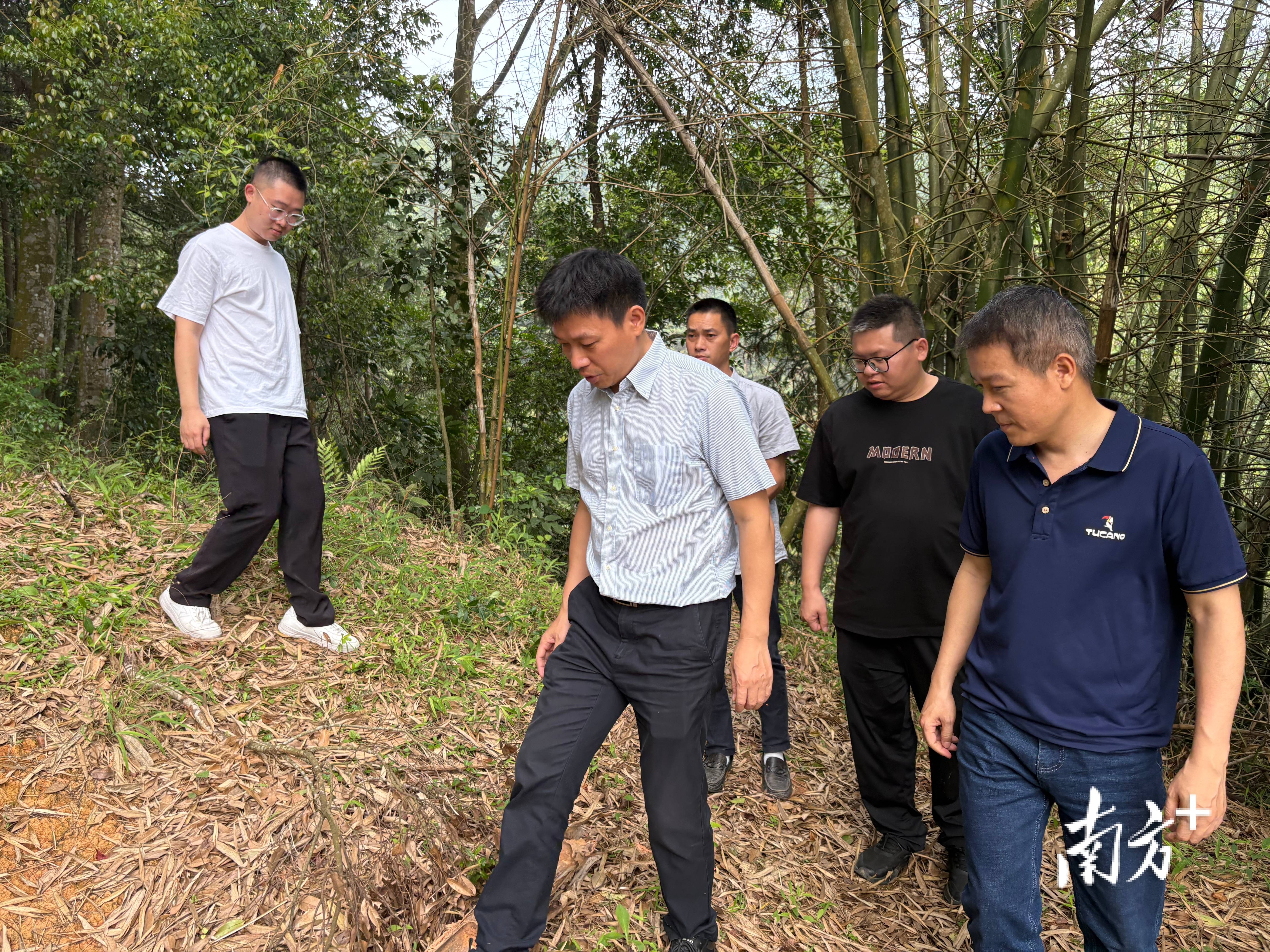 深入調研摸實情 科技賦能促振興！仲愷農業工程學院農村科技特派員赴八鄉山鎮開展靈芝產業幫扶