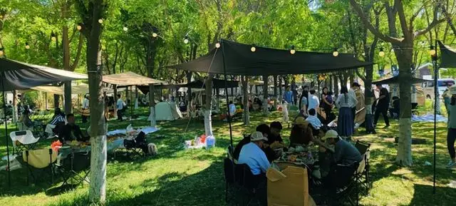 踏青·文化·夜遊·親子·美食丨濟寧五一寶藏玩法+優惠全放送