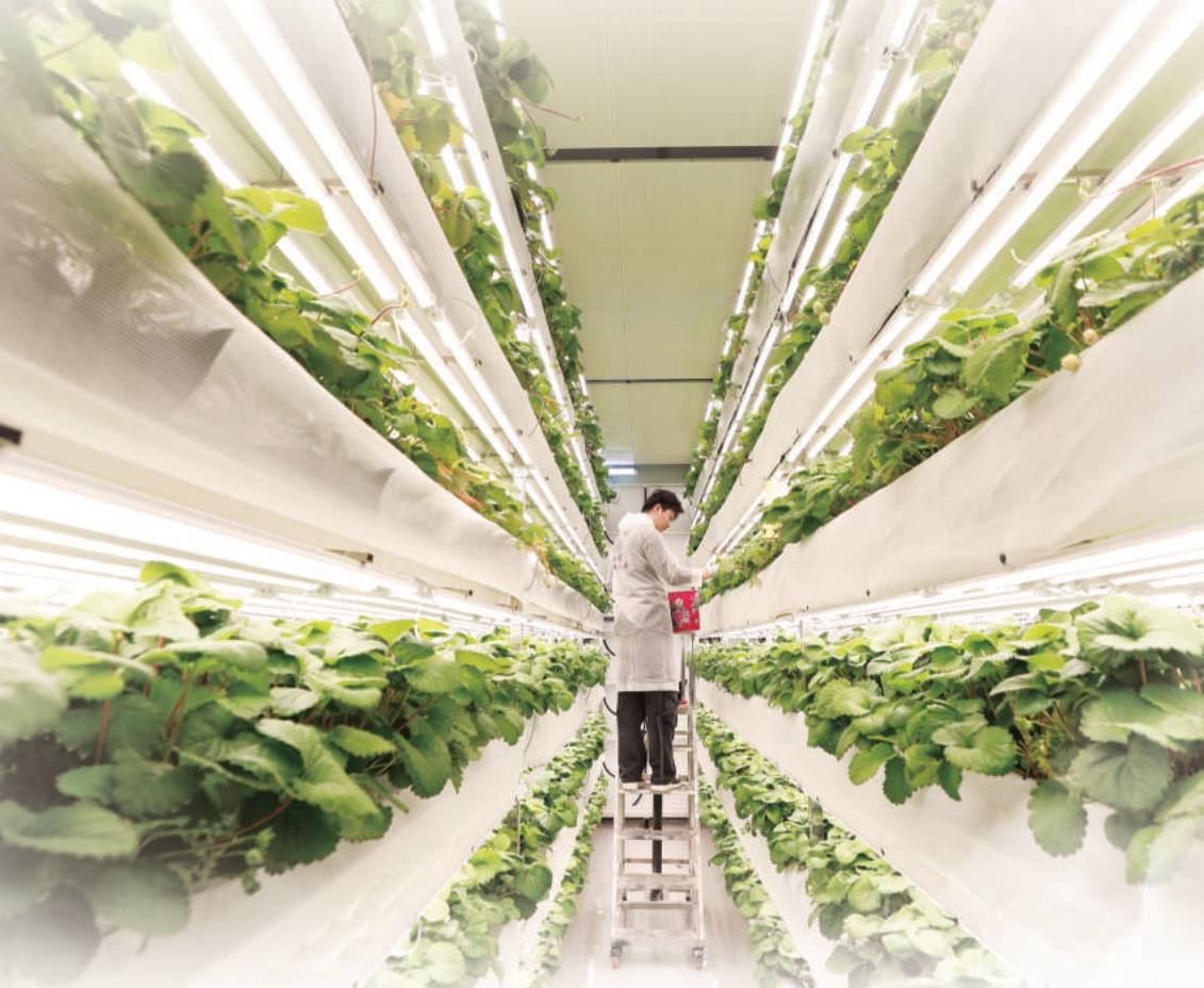 第五屆“多多農研科技大賽”決賽啟幕