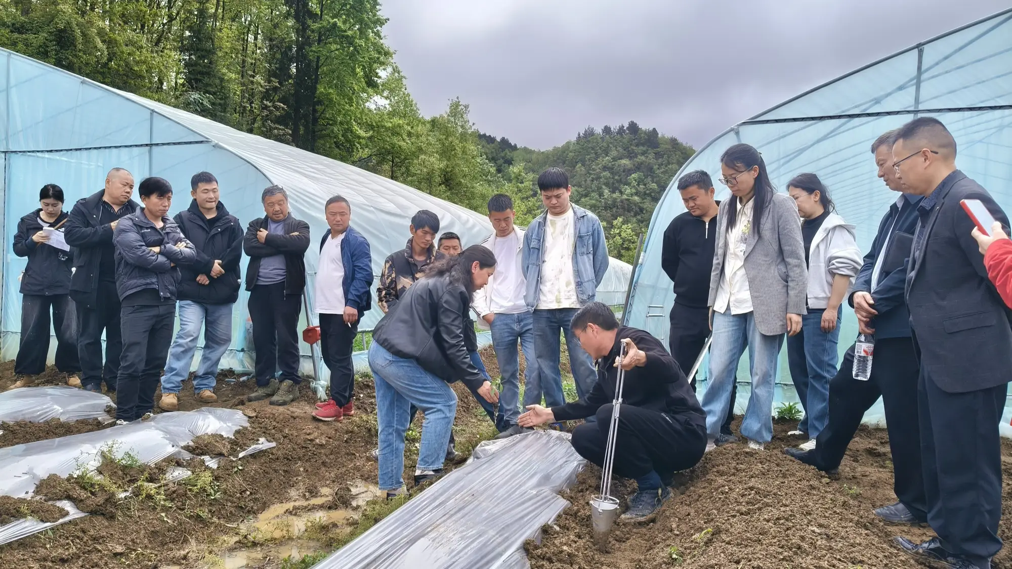 貴州務川：科技春風吹遍山野 特色產業勃發生機