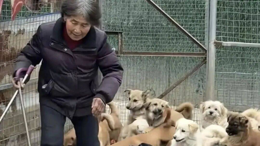 高三備戰2026高考作文，先記住這5位人物素材！