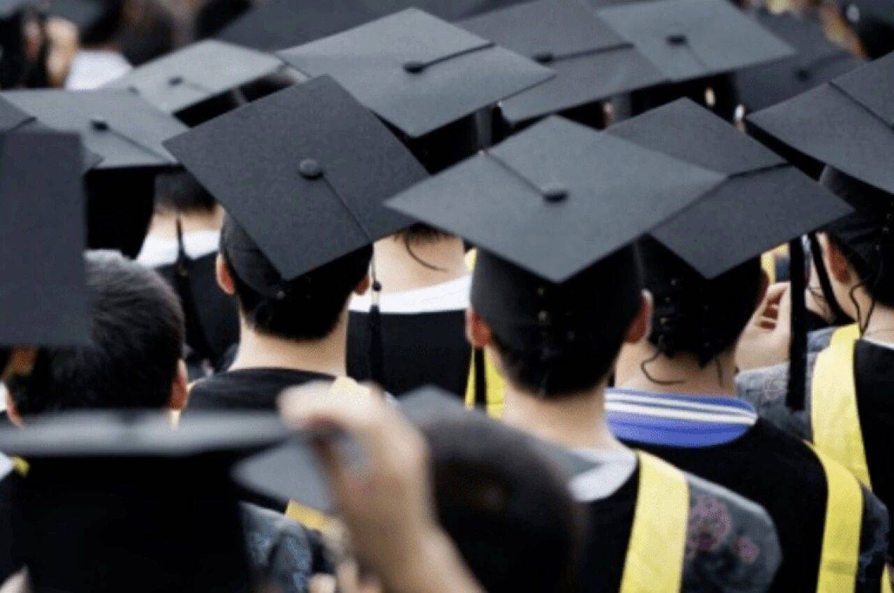 原創教育部六年來首發出境留學資料！新加坡經驗對中外合作辦學有用嗎？