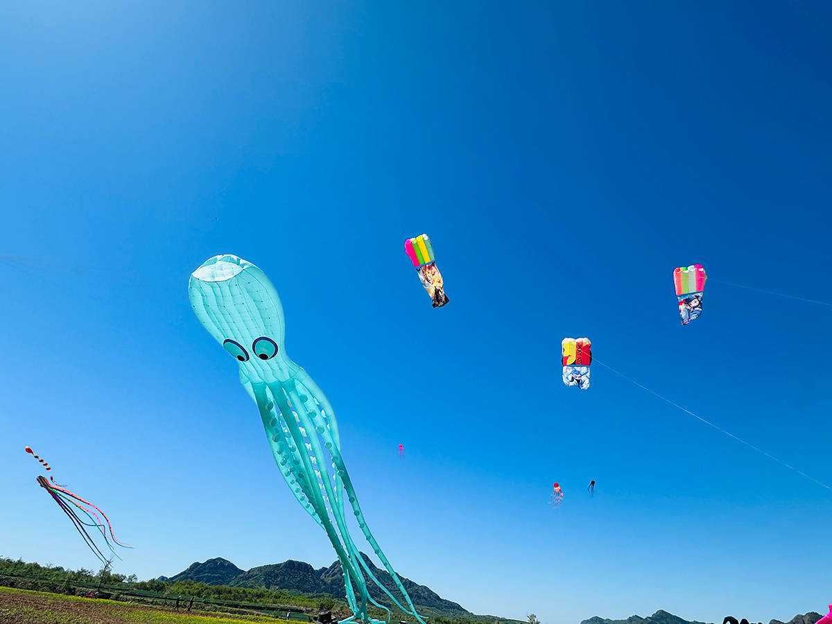 北京平谷舉辦動漫風箏嘉年華 打造活力鄉村