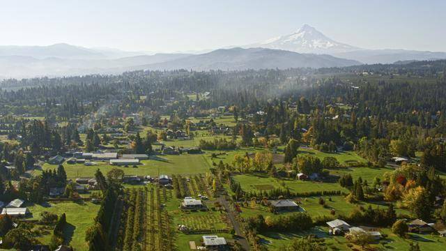 英國移民權威公司，移民英國的常見問題解答
